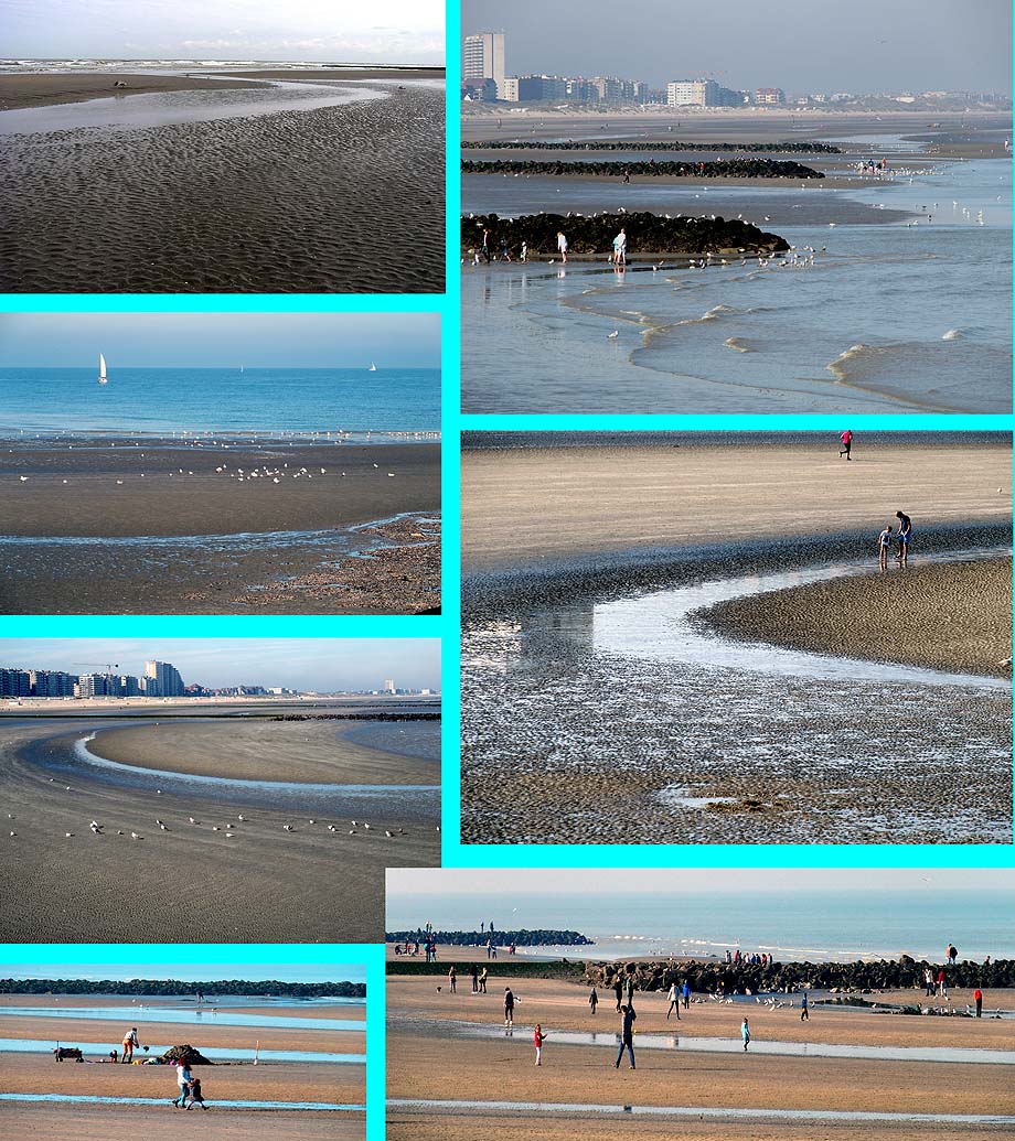 collage laagwater